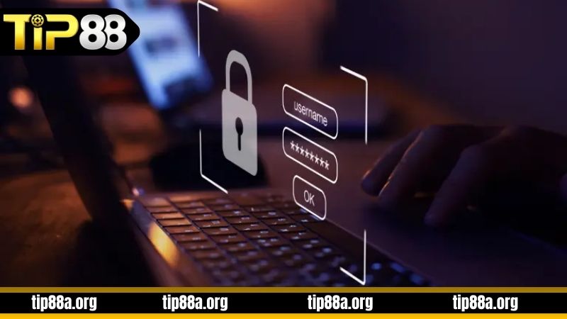 Đừng quên các lưu ý khi đăng nhập TIP88
