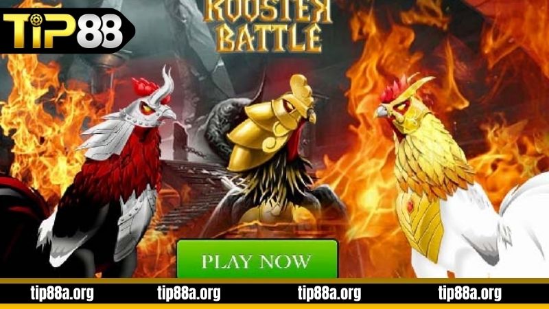 Tìm hiểu về đá gà 3D tại TIP88